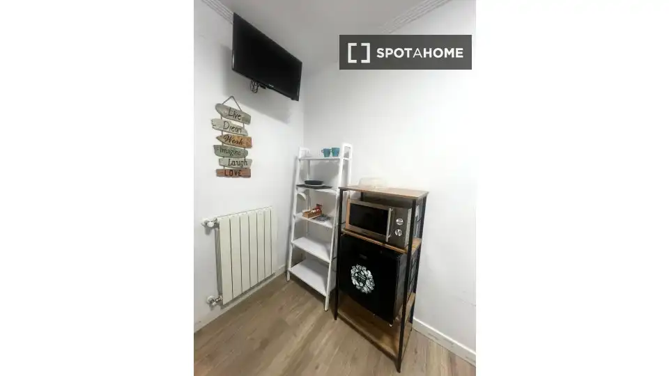 Habitación 29 m², Bilbao