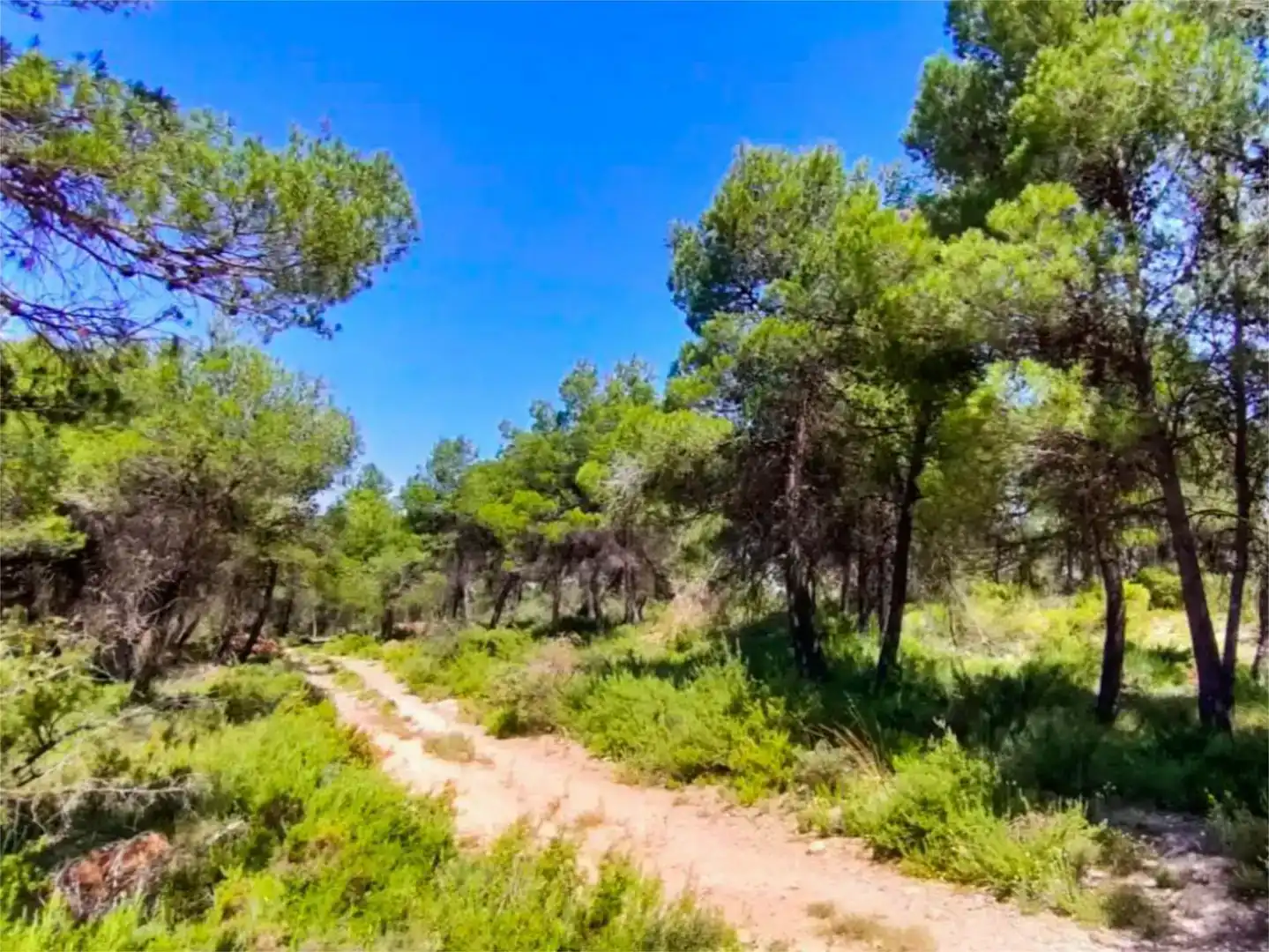Piso de 560 m² en Alcoy