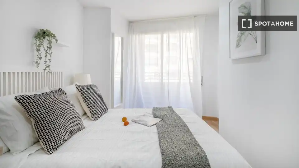 Habitació de lloguer, Alacant