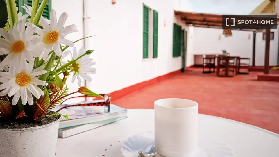 Habitación 23 m², Palma