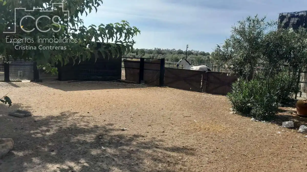 Casa de 100 m² en Almonte