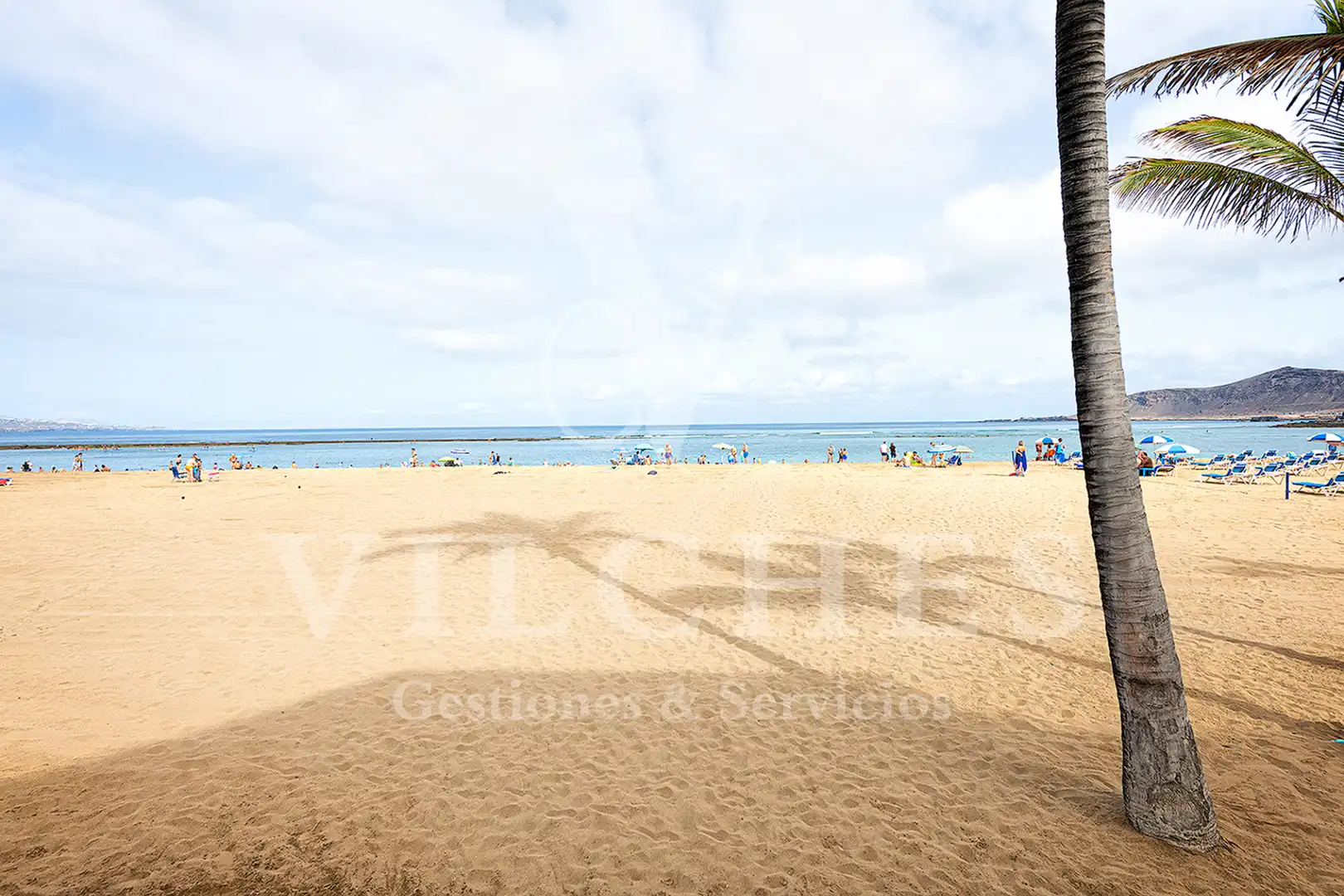 Pis de 40 m² a Las Palmas de Gran Canaria