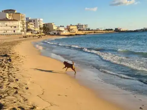 Piso de 80 m² en Palma