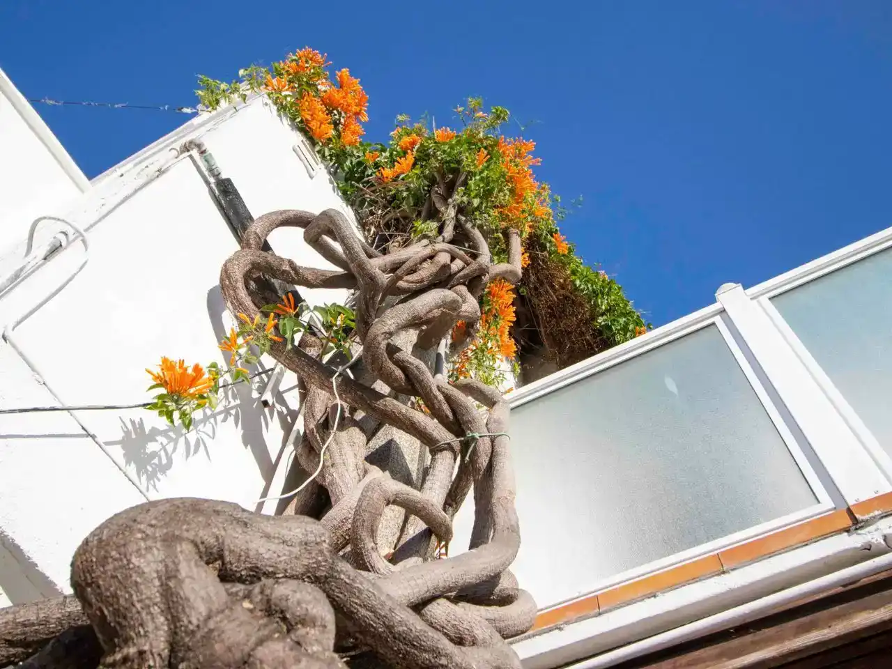 Piso de 148 m² en Puerto de la Cruz