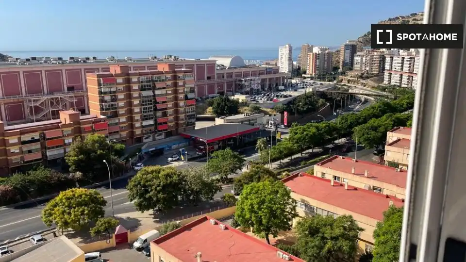 Habitació de lloguer, Alacant