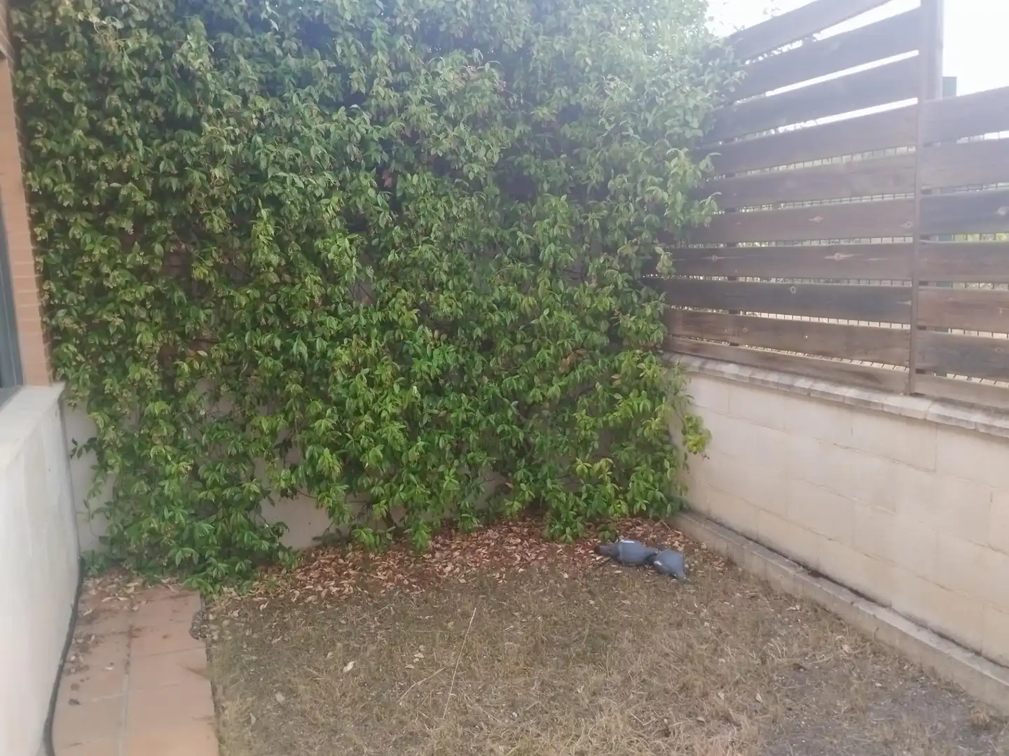 Casa de 264 m² a Valladolid