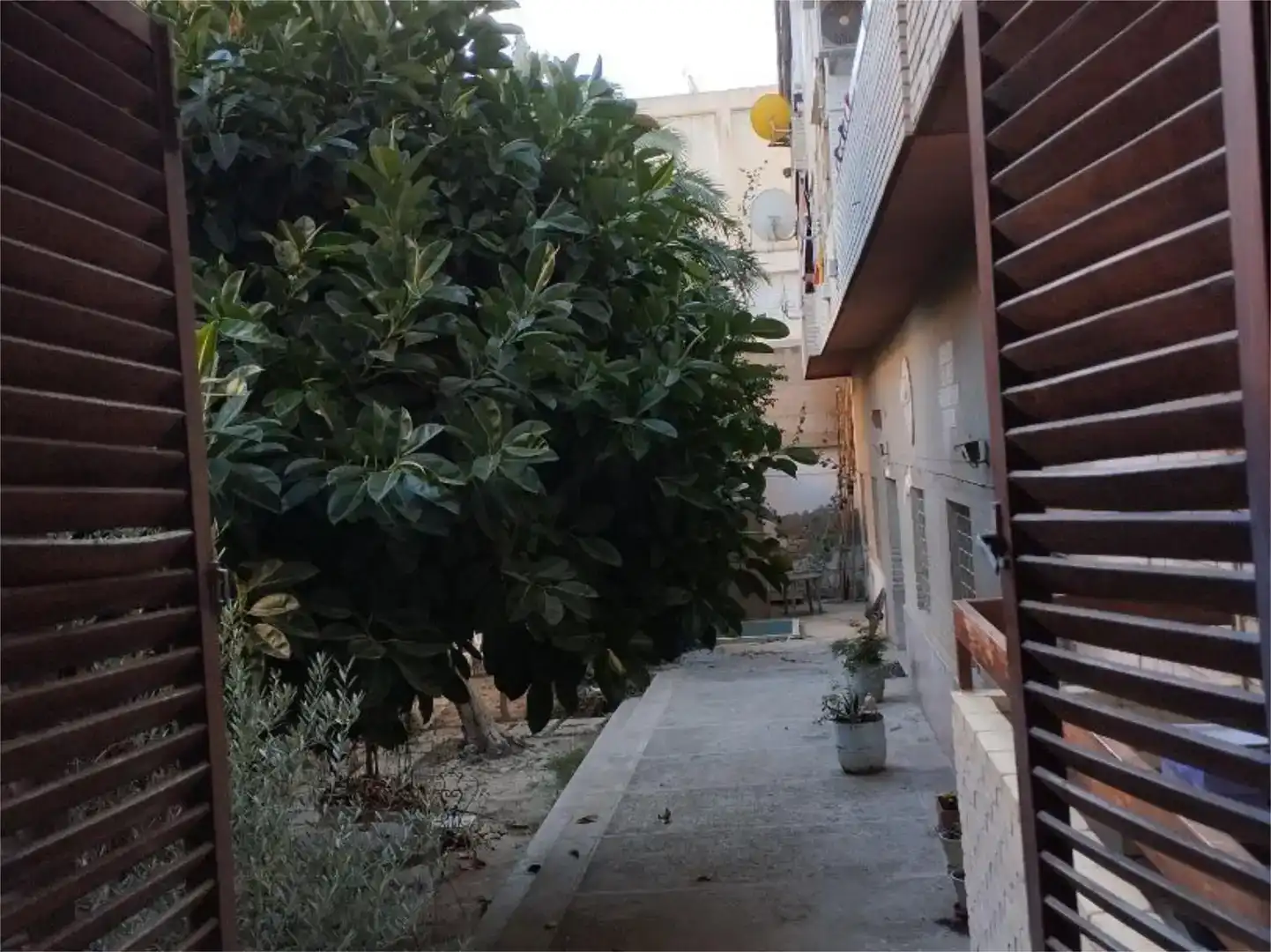 Habitación 85 m², Alicante