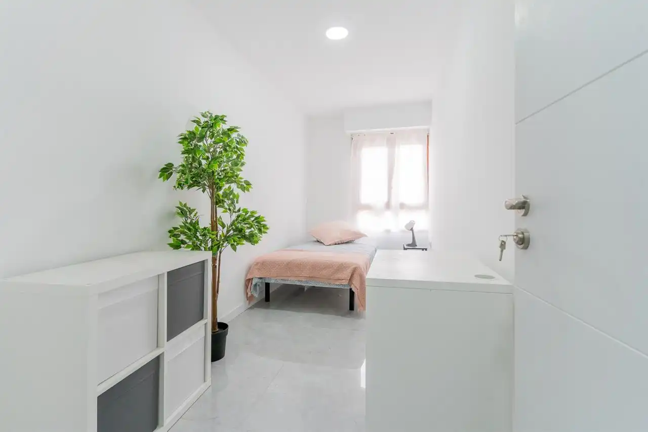 Habitación 285 m², Castellón de la Plana