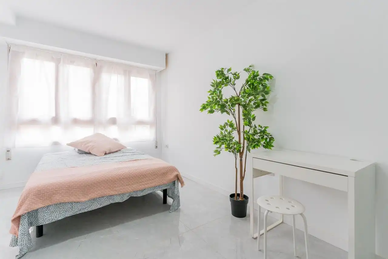 Habitación 285 m², Castellón de la Plana