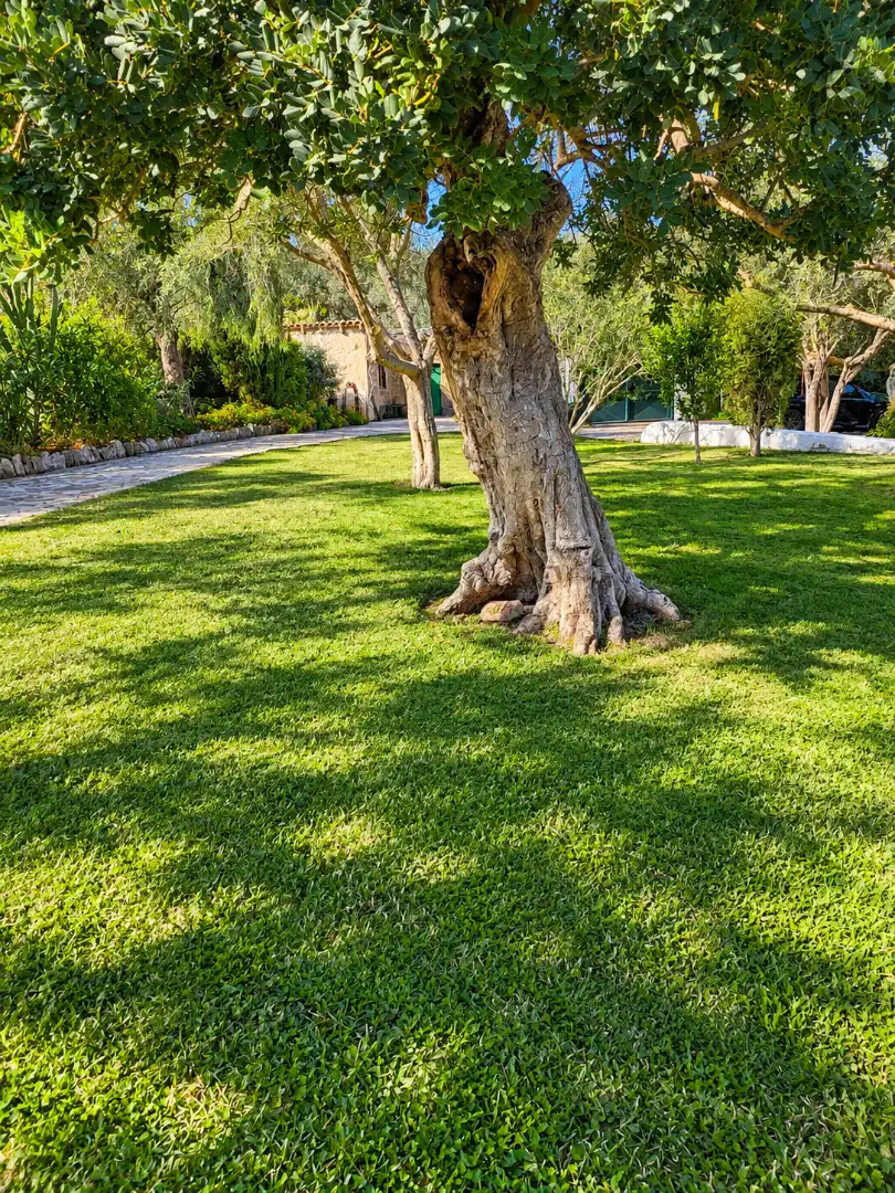Casa de 140 m² en Andratx