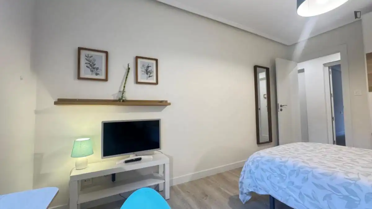 Habitació de lloguer, Bilbao