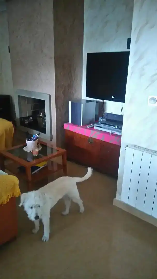 Casa de 190 m² en Orihuela