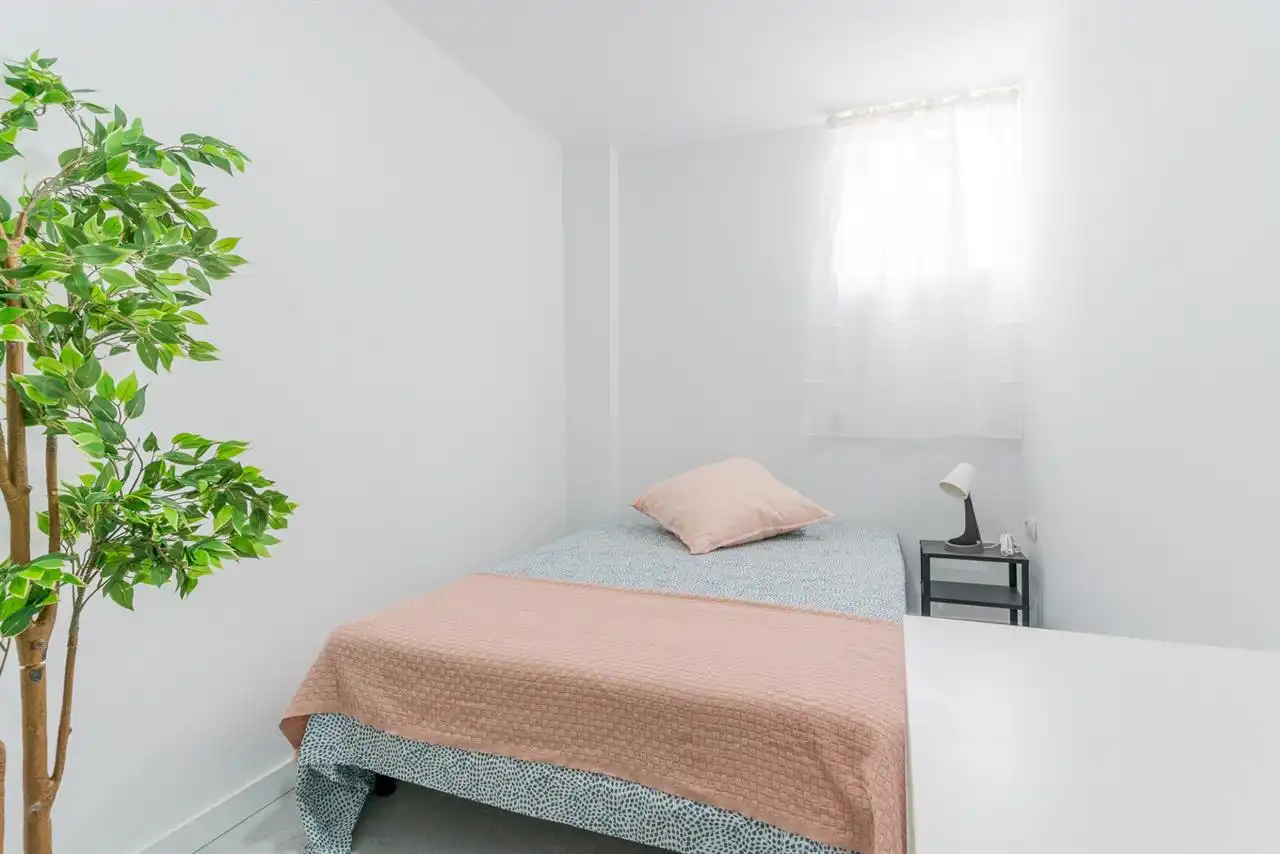 Habitación 285 m², Castellón de la Plana