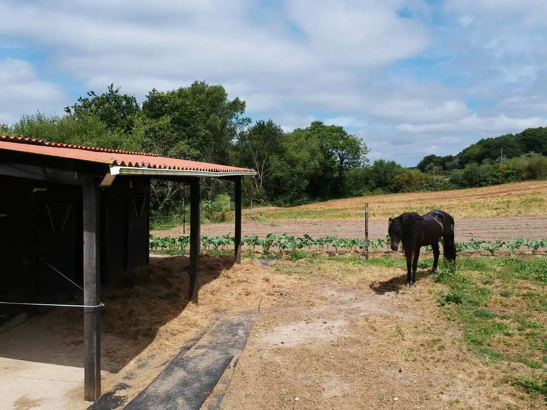 Casa de 165 m² en Aranga