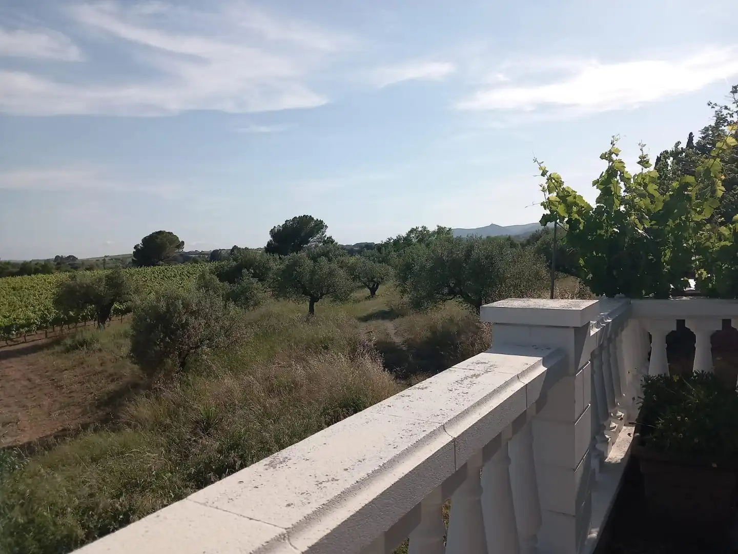 Casa de 354 m² en Pacs del Penedès