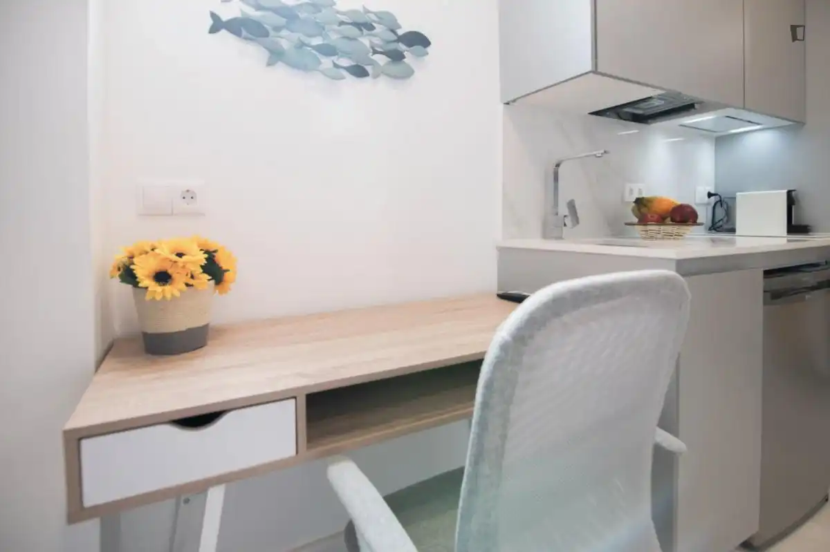 Appartement 28 m² à Valence