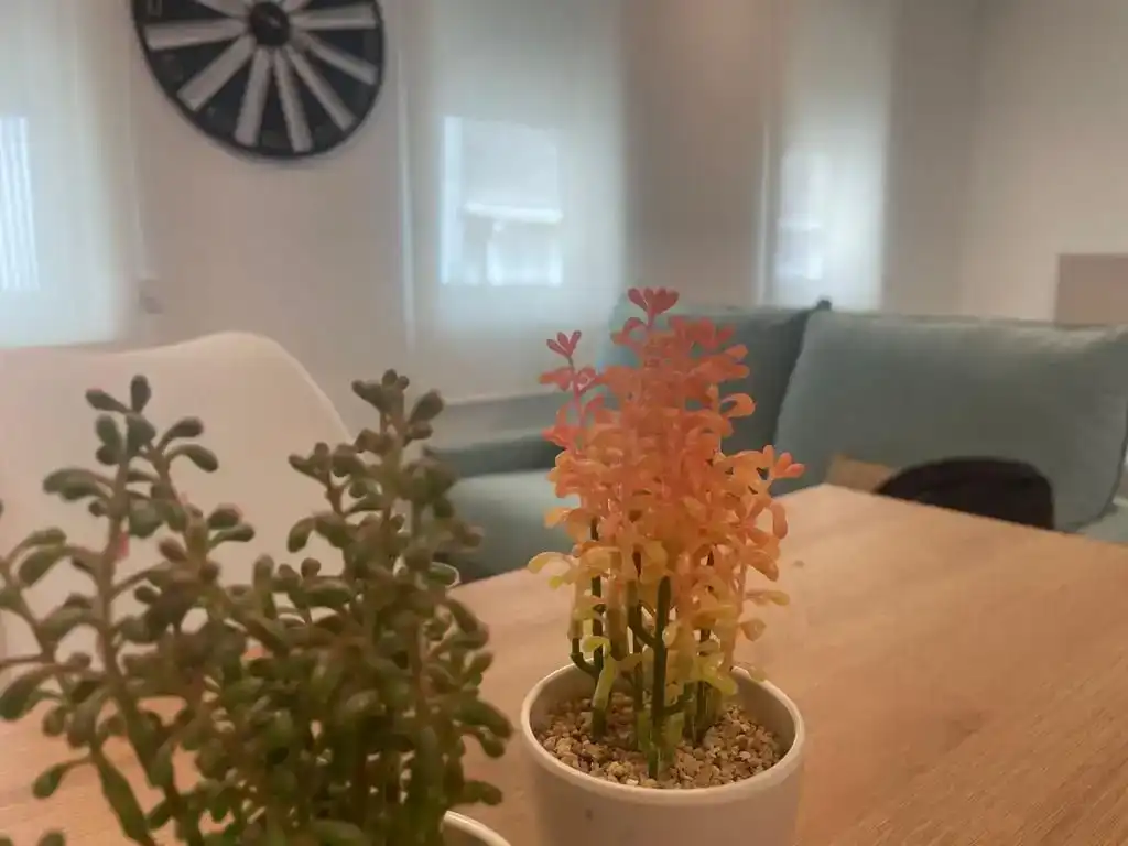 Piso de 40 m² en Ferrol