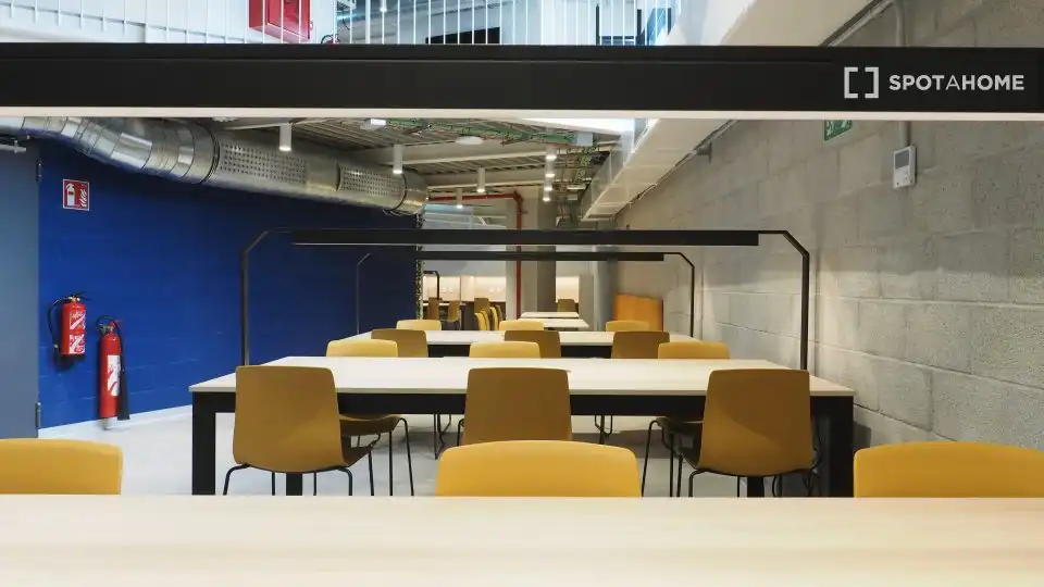 Habitación en alquiler, Bilbao