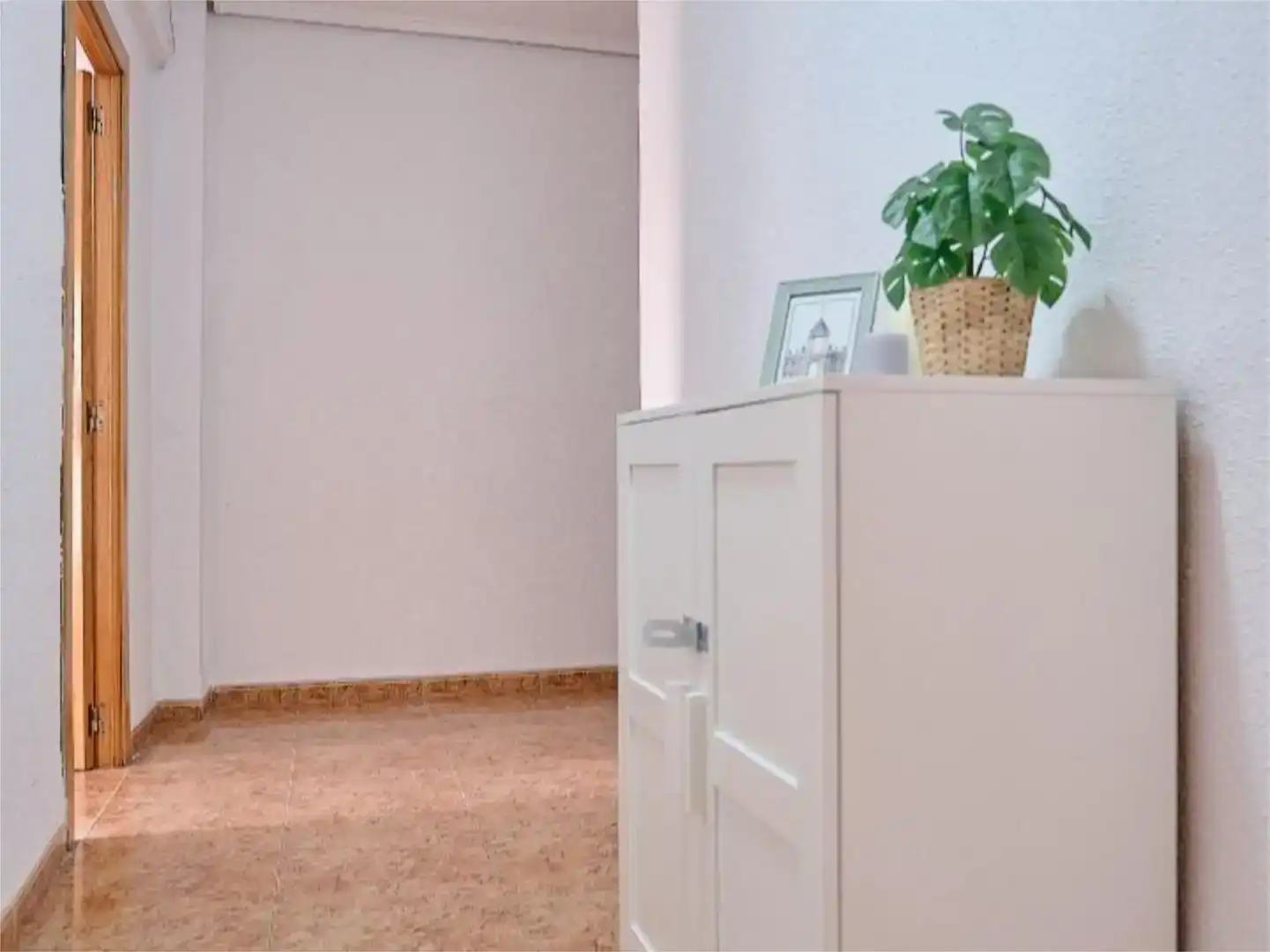 Habitación 150 m², Elche