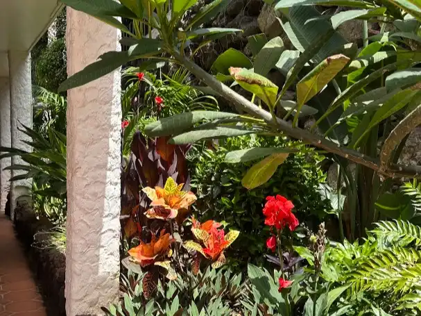 Piso de 80 m² en Puerto de la Cruz