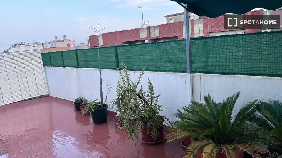 Habitació de lloguer, València