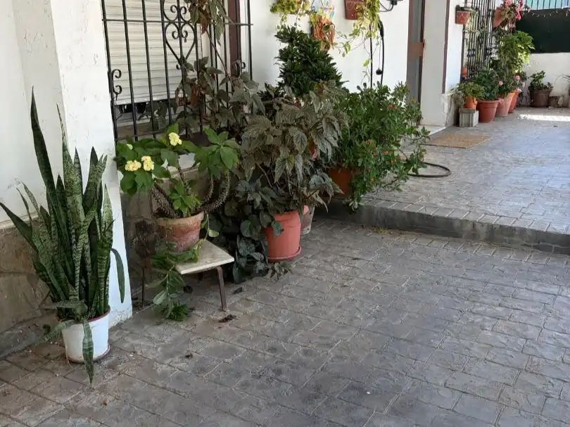 Chambre à louer, Medina Sidonia