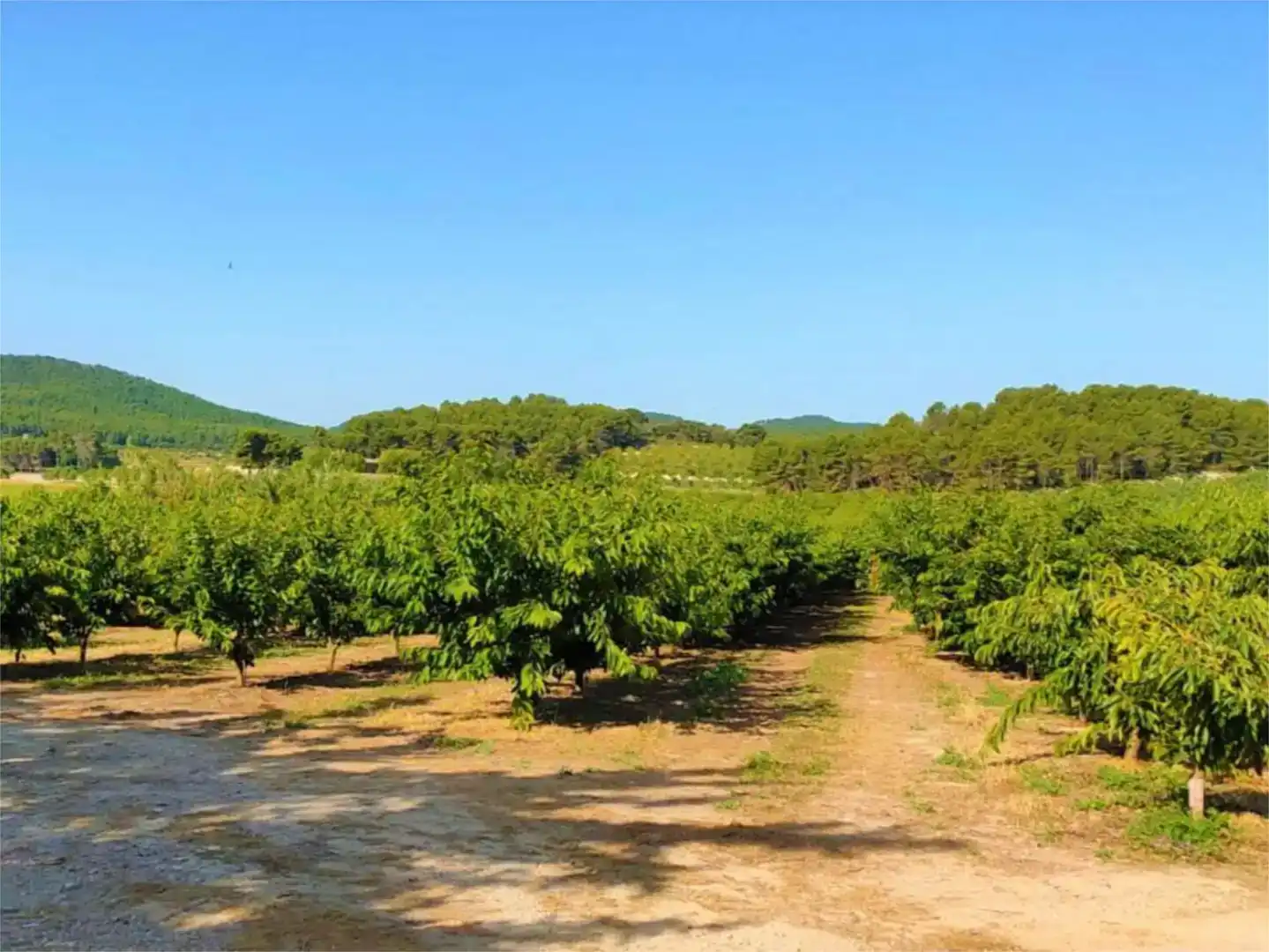 Piso de 560 m² en Alcoy