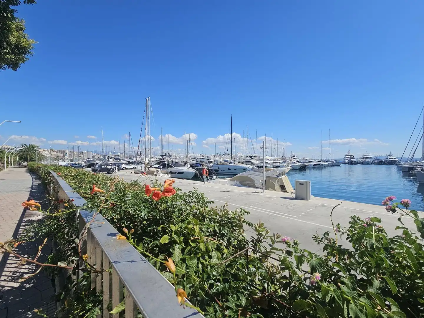 Pis de 187 m² a Palma