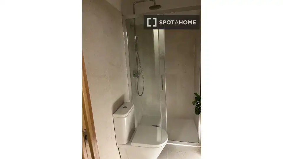Habitación 46 m², Bilbao