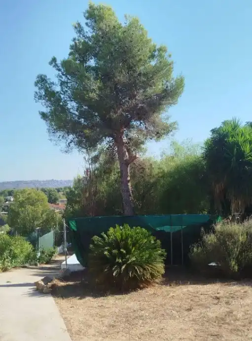 House 60 m² in Montserrat