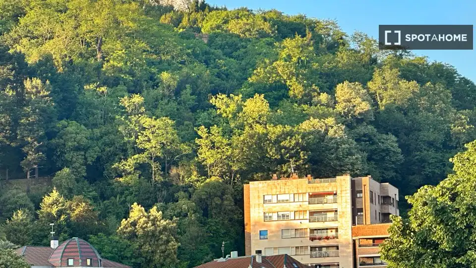 Habitación 69 m², Bilbao