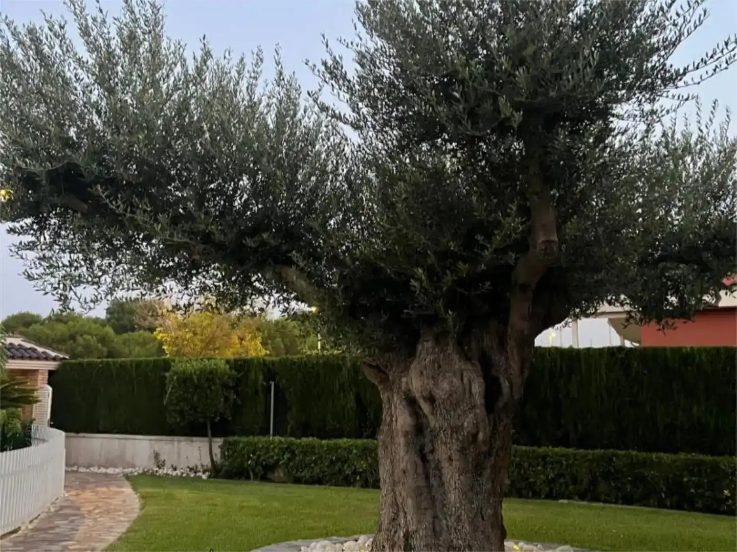 Piso de 450 m² en Castellón de la Plana