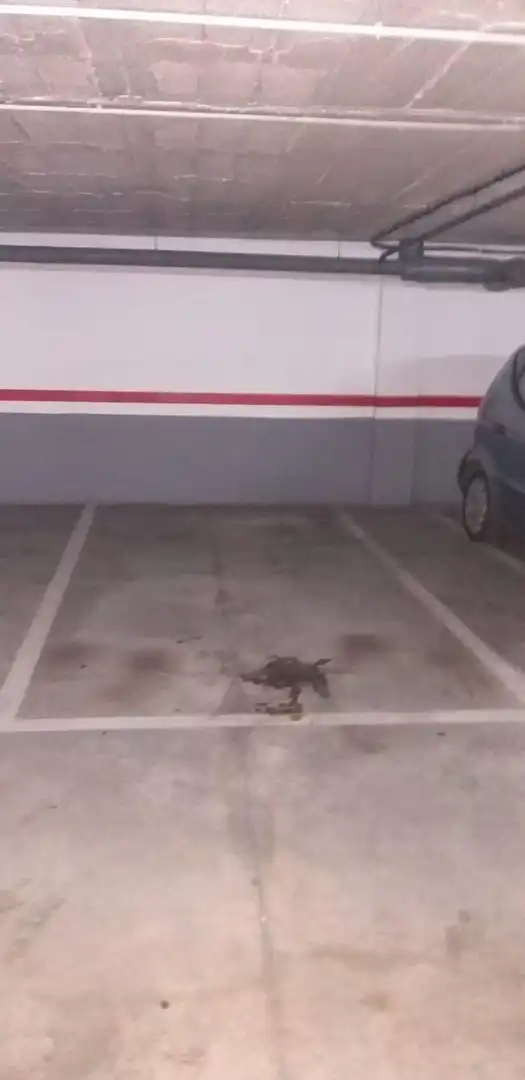 Piso de 95 m² en Málaga