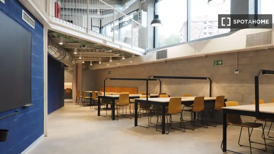 Habitación en alquiler, Bilbao