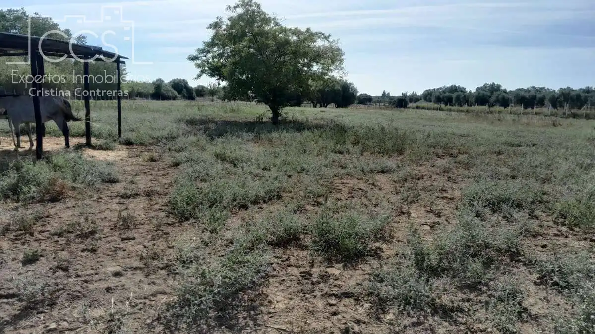 Casa de 100 m² en Almonte