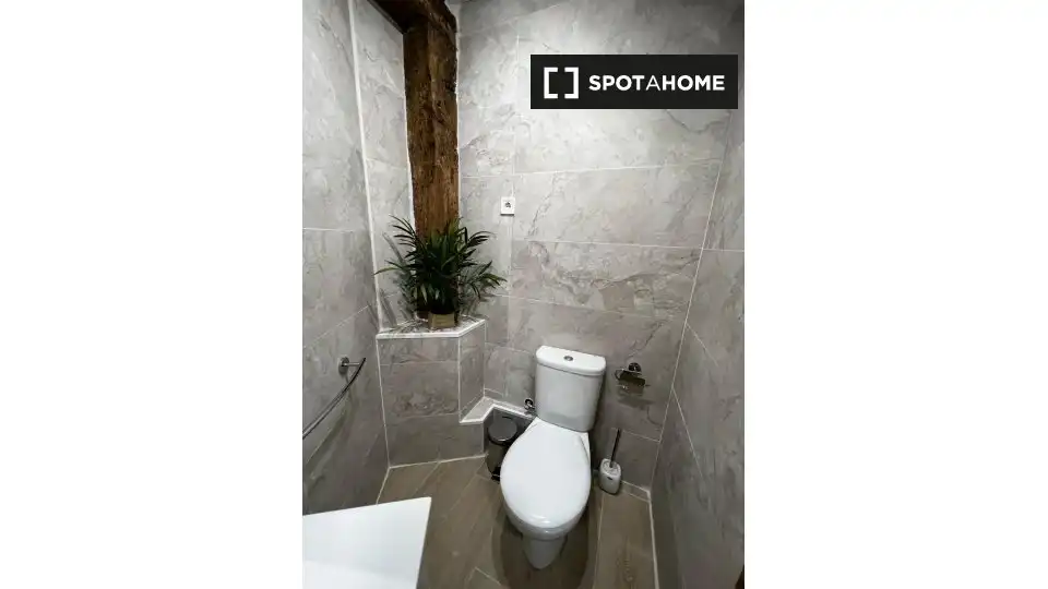 Habitación 29 m², Bilbao