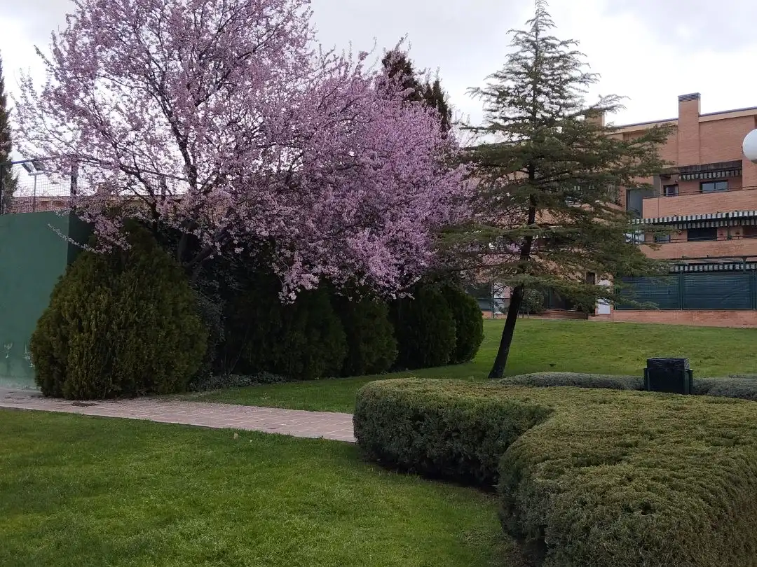 Appartamento 90 m² a Villanueva de la Cañada