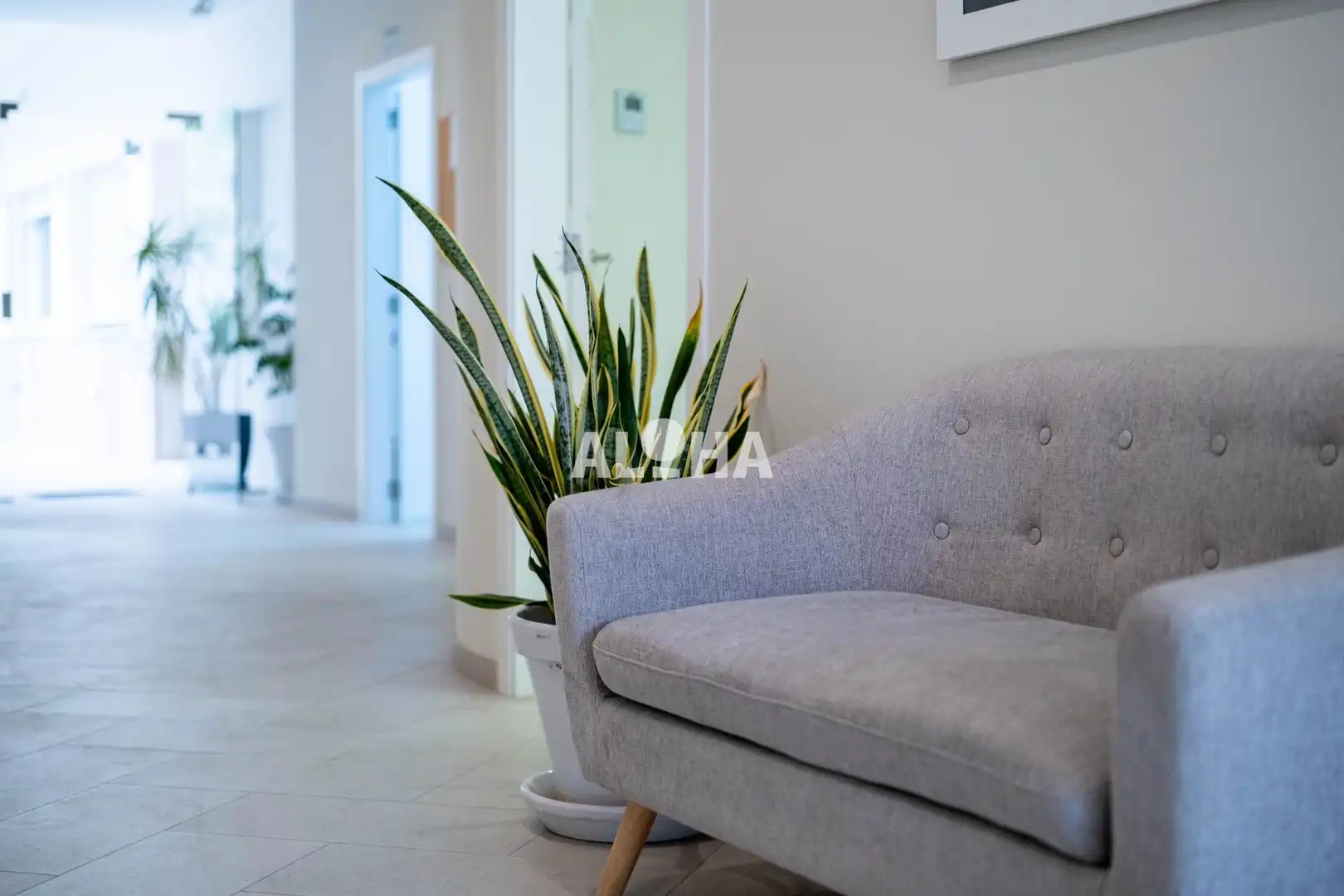 Flat 1597 m² in Alfara del Patriarca