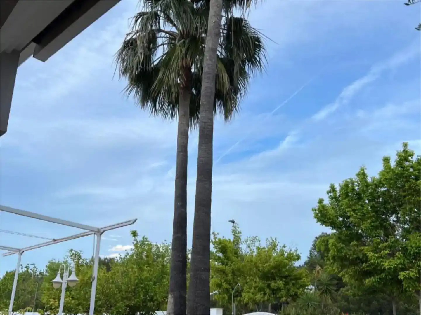 Piso de 450 m² en Castellón de la Plana