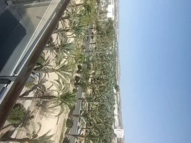 Habitación 115 m², Elche