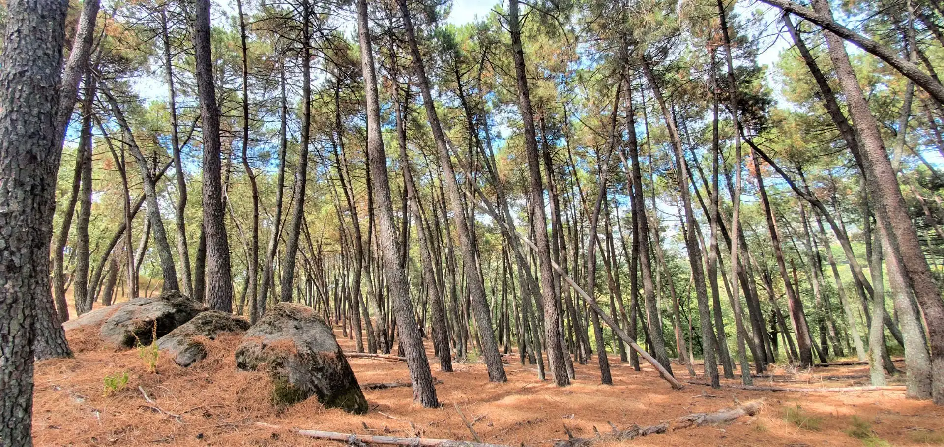 Pis de 57 m² a Lleida