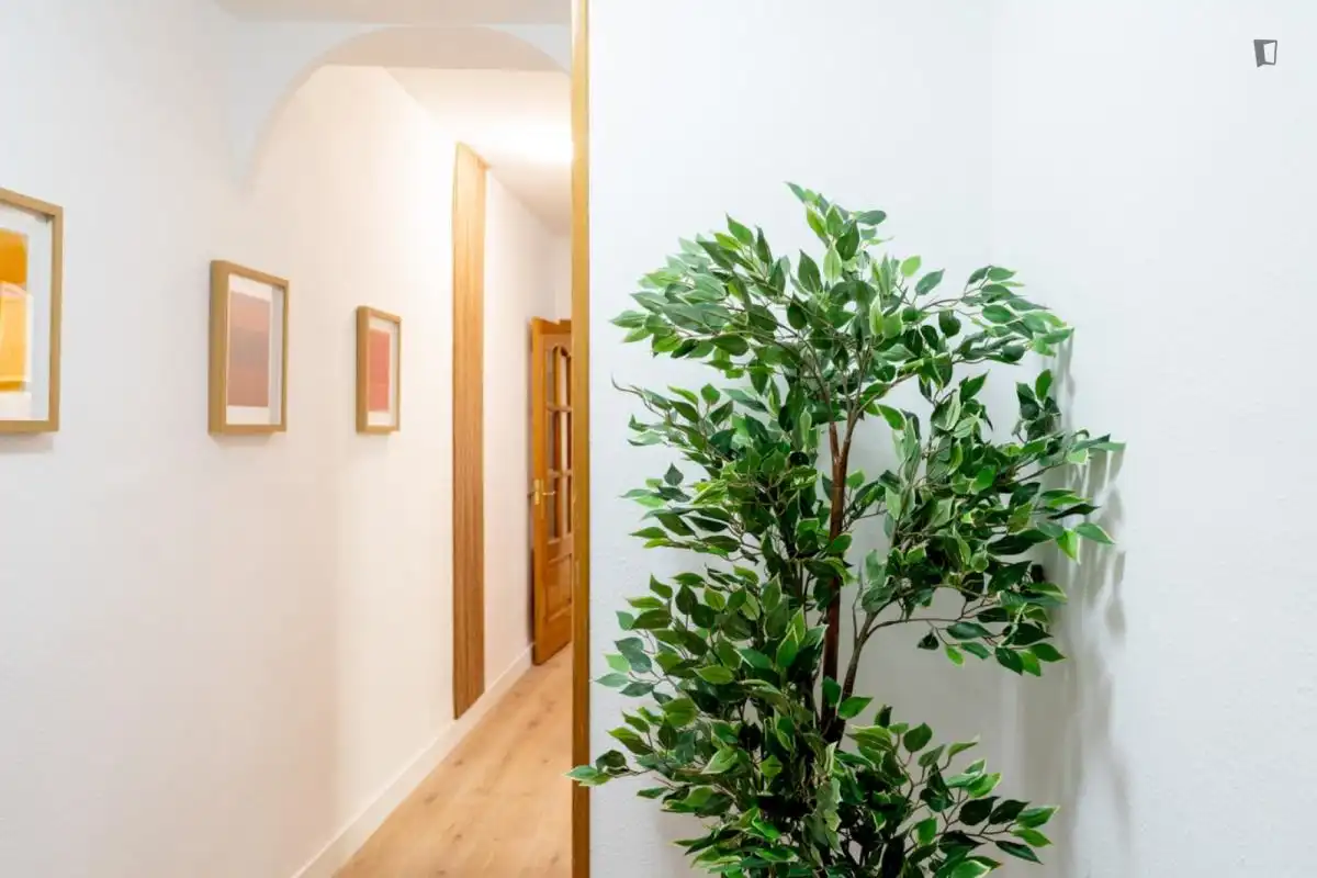 Habitación en alquiler, Madrid
