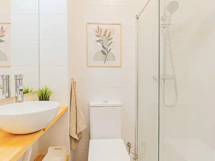 Habitació de lloguer, Torrevella