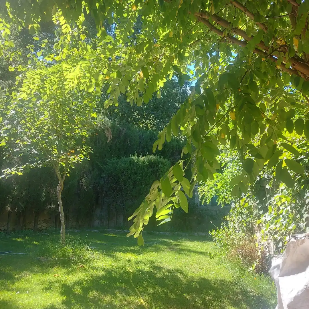 Casa de 75 m² a Bustarviejo