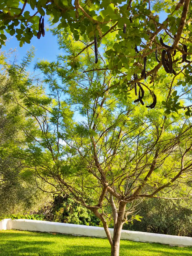 Casa de 140 m² en Andratx