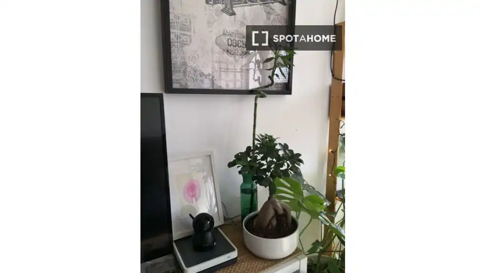 Habitación 92 m², Málaga