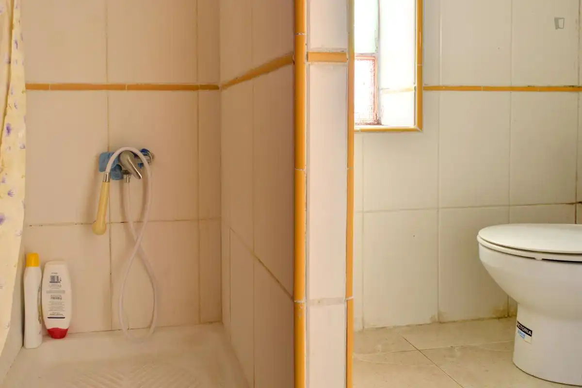 Habitació de lloguer, Saragossa