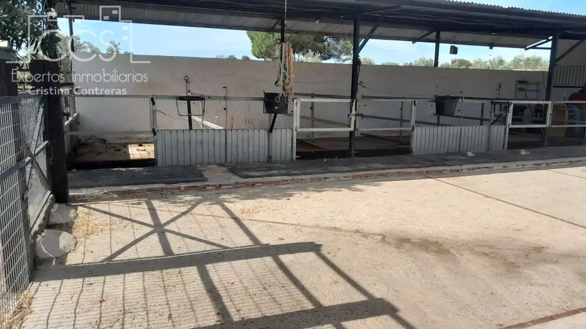 Casa de 100 m² en Almonte