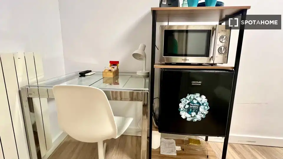 Habitación 29 m², Bilbao
