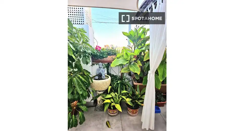 Habitación en alquiler, Alicante